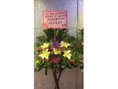 2017-10-20 香港台山同鄉總會(新界分會)第一屆理事就職典禮